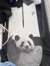 Burton Process 2023 Panda