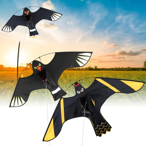Flying hawk kite - flying,