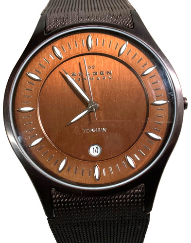 Skagen mens 38mm brown - skagen,
