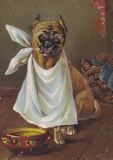 Original Victorian Christmas card featuring a bulldog dog c1880's