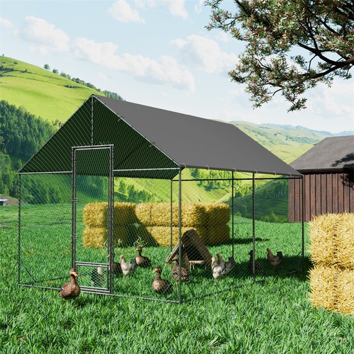 Jumbo chicken coop - coop, high