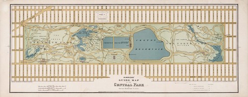 X41 large 1875 central - 16"x41",