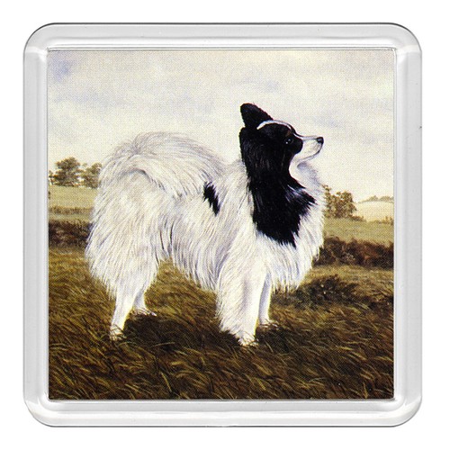 Papillon dog acrylic - papillon,