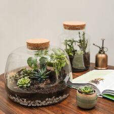 DIY Terrarium Kit with