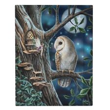 FAIRY TALES SMALL CANVAS PICTURE ART PRINT LISA PARKER FANTASY OWL MOON STAR 