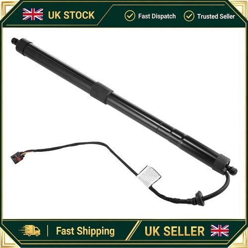 Boot gas strut for - for, vw