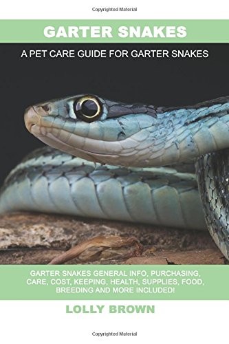 Garter snakes - snakes:,