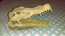 Aquarium/Vivarium Crocodile Skull Ornament