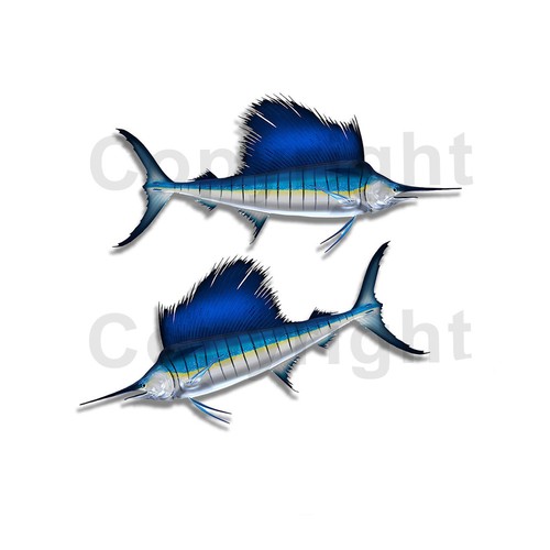 Sailfish sticker decal fishing - sailfish,