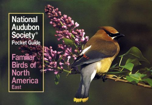 National audubon society - audubon,