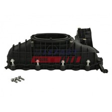 Manifold Inlet For