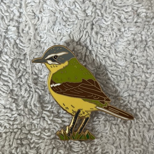 Lanius bird yellow wagtail pin - bird,