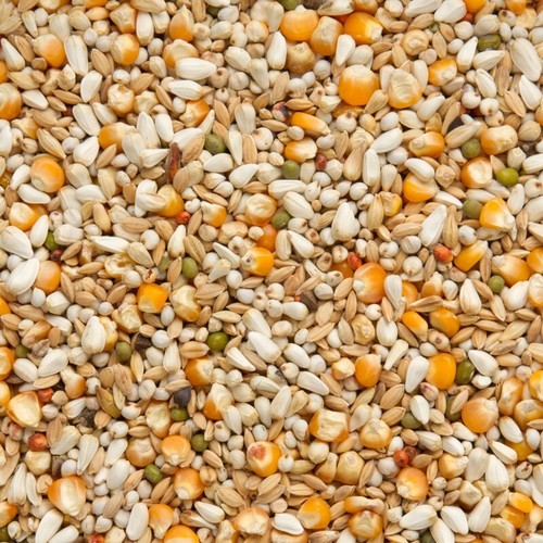 Beyers premium vandenabeele - premium,