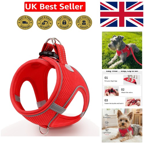 Comfortable red step dog - comfortable, step-in
