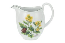 Royal Worcester - Worcester