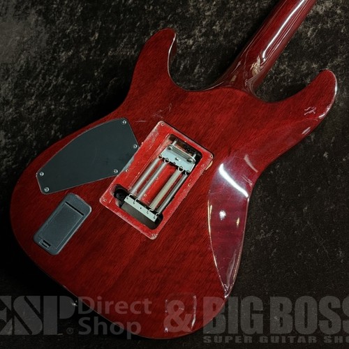 Schecter hellraiser electric - hellraiser,