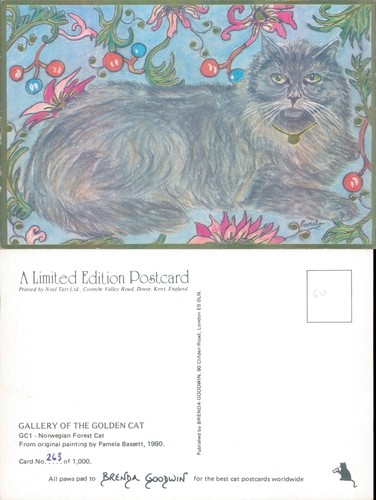 Postcard norwegian forest - norwegian, cat