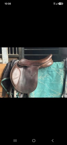 Bates caprilli close - 17.5,