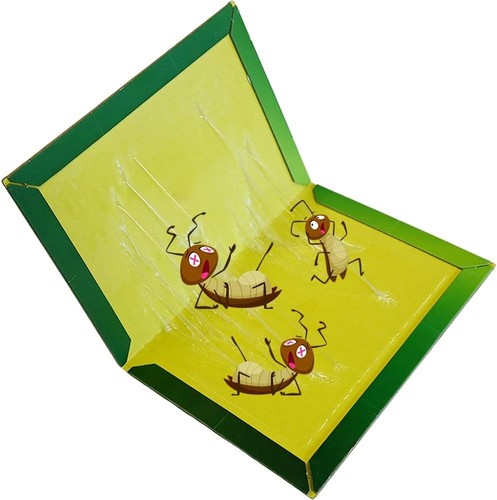 Durable pack sticky - 6-pack, fly