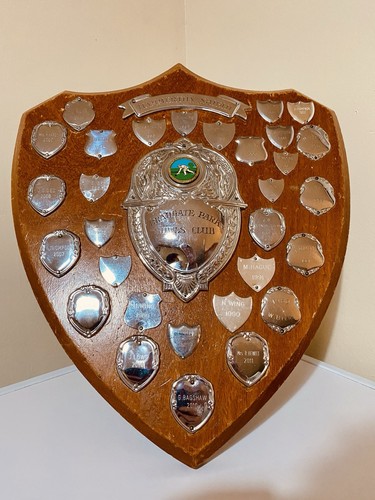 Big trophy shield 14 - 🏆,
