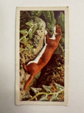 Brooke bond british wild life - british,