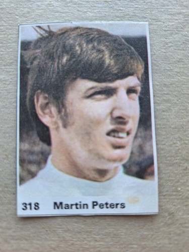 Martin peters spurs - martin,