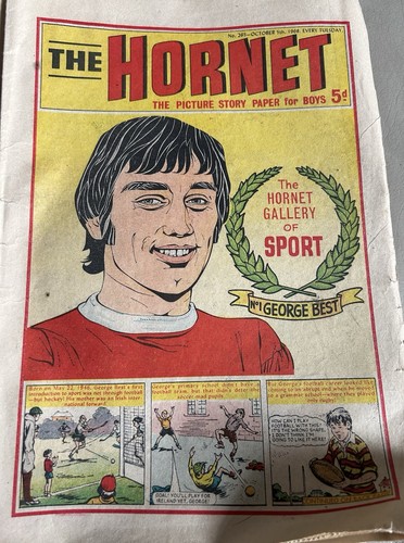 The hornet comic - hornet, comic.