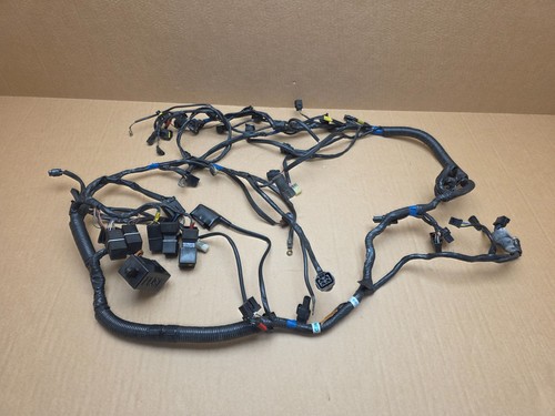 Triumph sprint 1050 - st, wiring