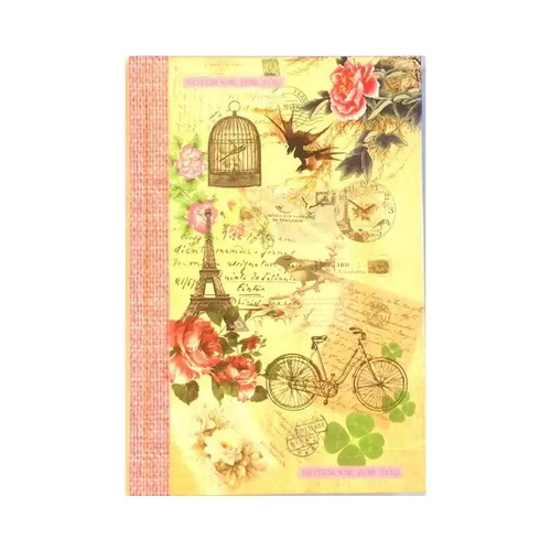 Girls vintage paris bird - girls, cage
