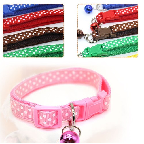 Dots pattern cat - dots, collar