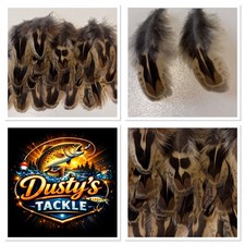 Hen Pheasant Shoulder Feathers