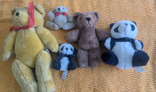 Collection five teddy - teddy, and