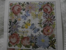 Elizabeth Bradley  Floribunda