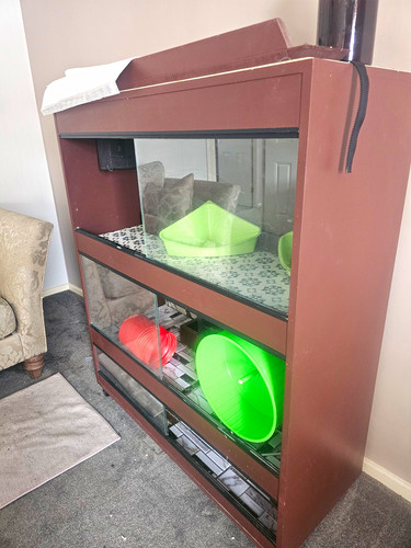 Vivarium used for african - vivarium,