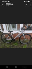 Carrera Parva Grey Womens