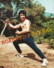 Bruce lee 8x10in photograph - bruce,