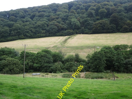 Photo 6x4 pheasant rearing - 6x4, by