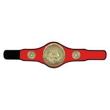 Champion Belt Boxing Award Red 1240x315mm - NEW 2025