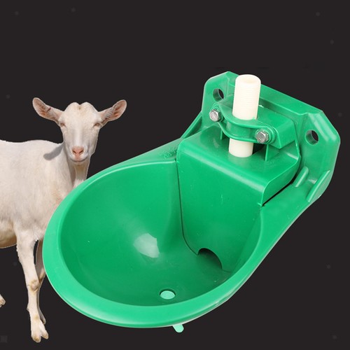 Sheep water bowl - water,