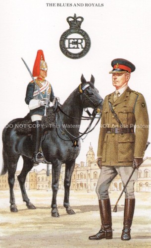 The blues and royals military - blues,