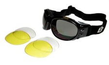 Birdz Eagle Interchangeable