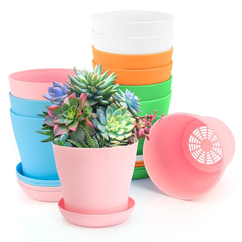 Inch plant pots with - 4,