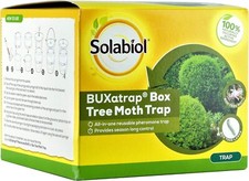 Box Tree Moth Trap Pest
