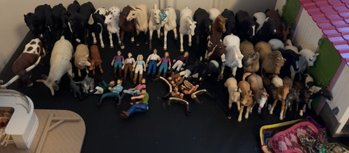 Schleich clean out