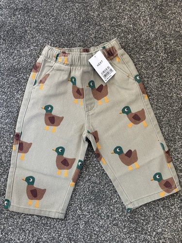 Viral next baby - leg, duck