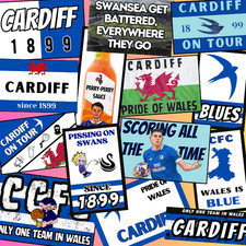 Cardiff city Ultra football