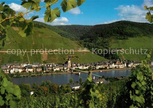 Zell moselle panoramic - zell,