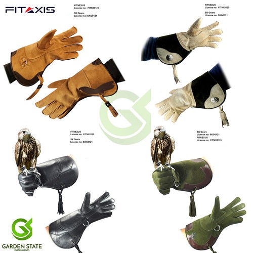 Raptor hawk falconry - falconry, gloves
