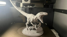 Velociraptor Dinosaur Model