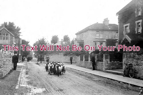 1613 yatton somerset - so,